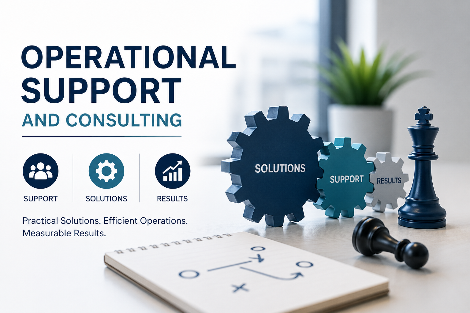 Operational Support & Consulting